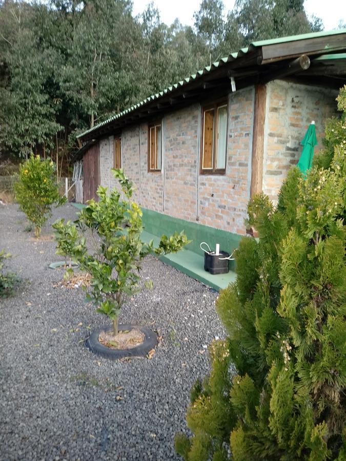 Casa Aconchegante Em Urubiciヴィラ エクステリア 写真